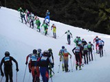 DSCN1344_(1280_x_1024)