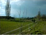 Gegend